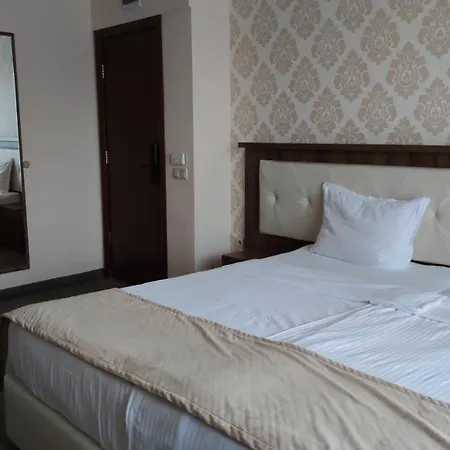 Hotel Medicus Vurșeț