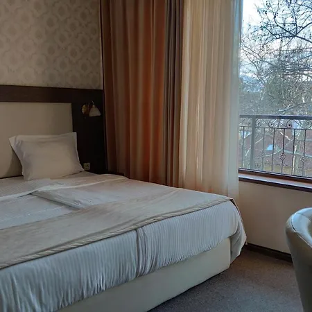 Medicus Hotel Vurșeț