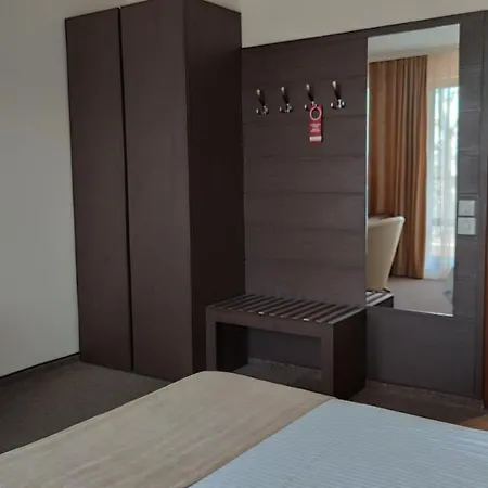 Medicus Hotel 4*