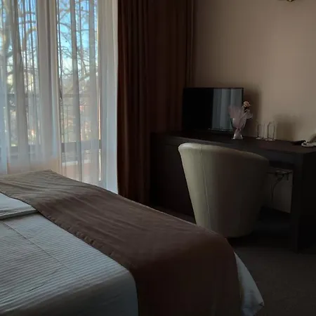 Hotel Medicus Vurșeț