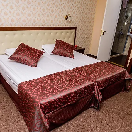 Hotel Medicus 4*