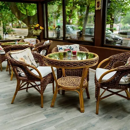 Hotel Medicus Vurșeț