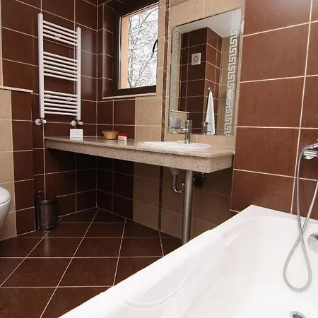 Hotel Medicus